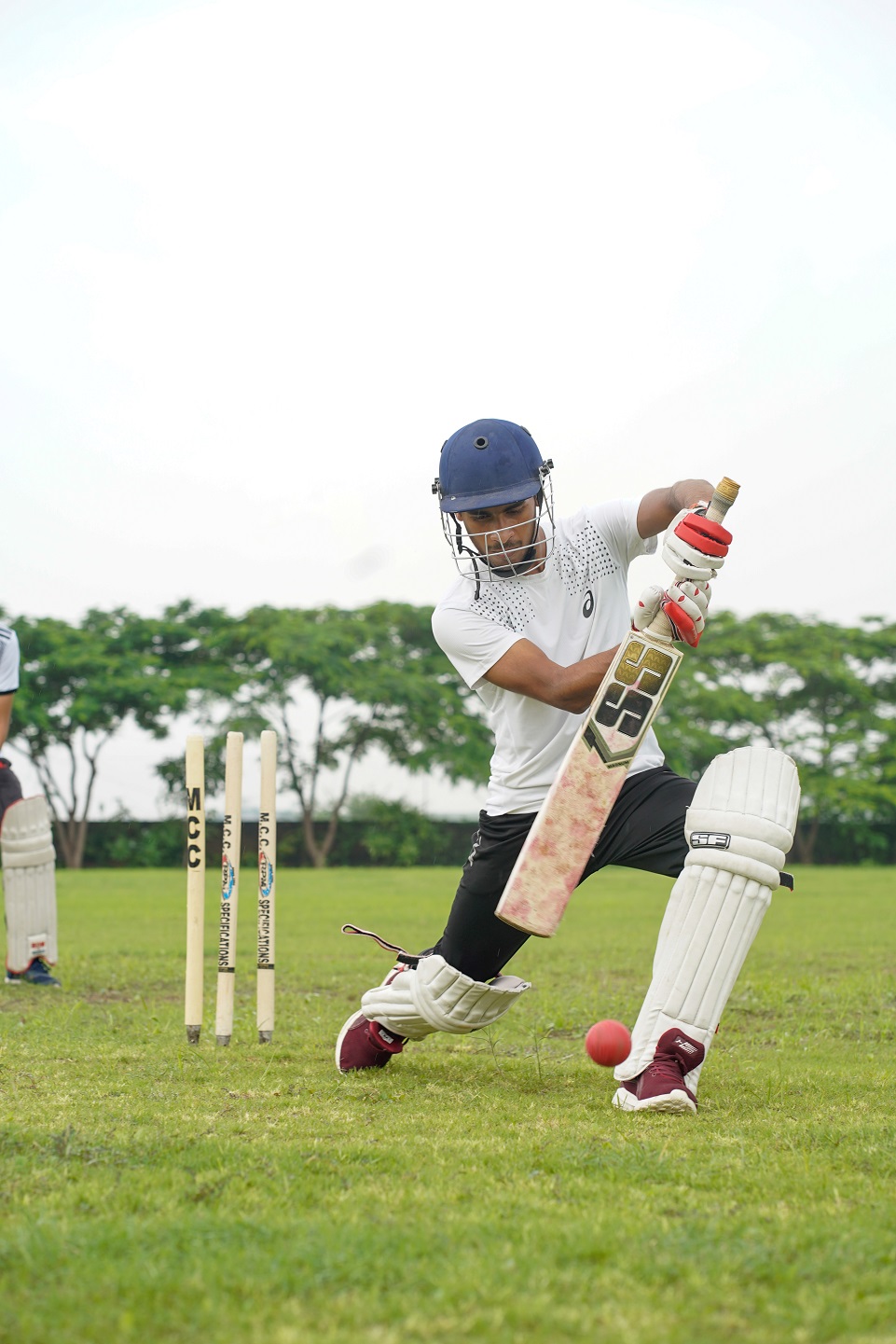 Cricket